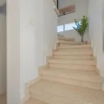 Telmar Larnaca 