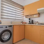 Telmar Larnaca 